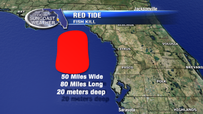 Scientists Continue To Monitor Red Tide North Of Tampa State