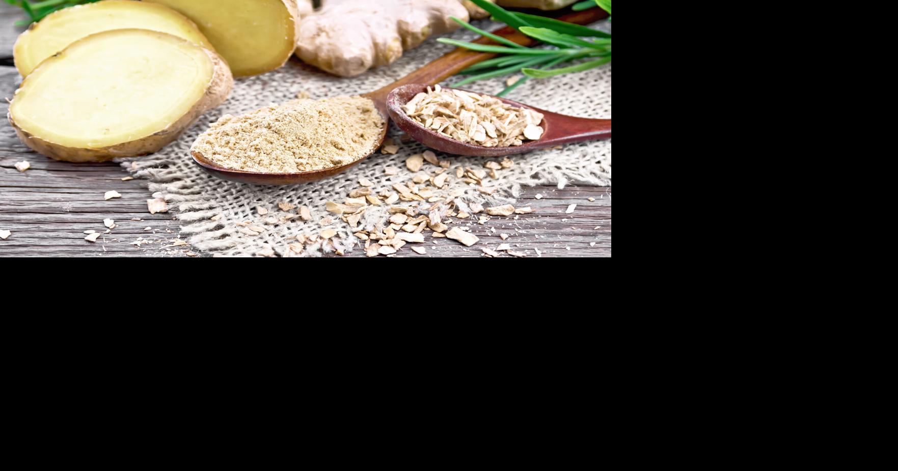 Healing from the Ground Up: Natural Remedies Growing Right in Your South Florida Backyard