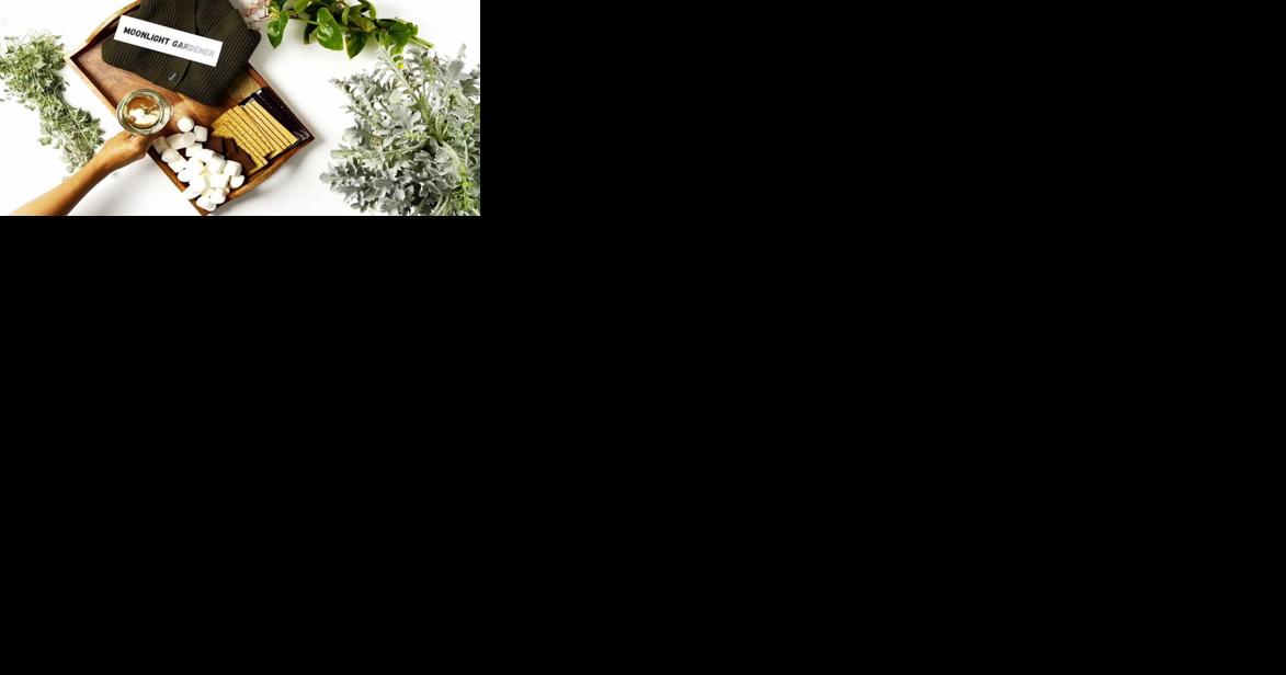 What kind of gardener are you? Explore these fall trends to find out - Vimarsana News