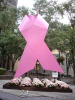 Breast Cancer Facts To Go Along With Your Pink Everything