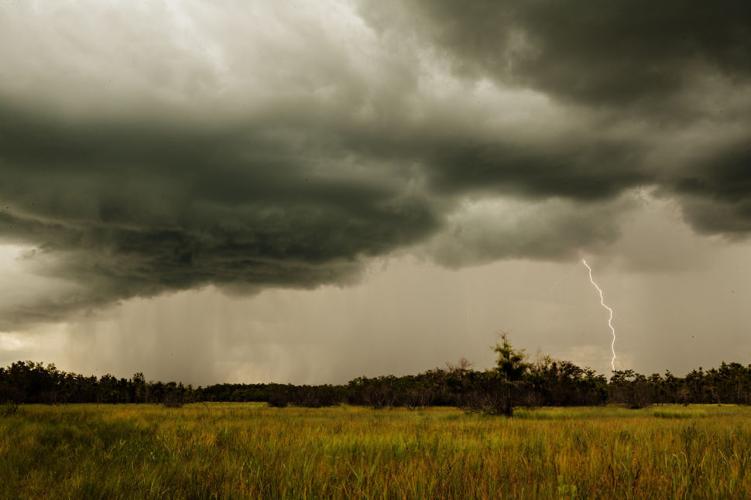 Fakahatchee Lightning