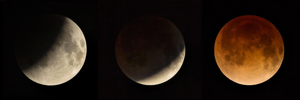 Blood Moon