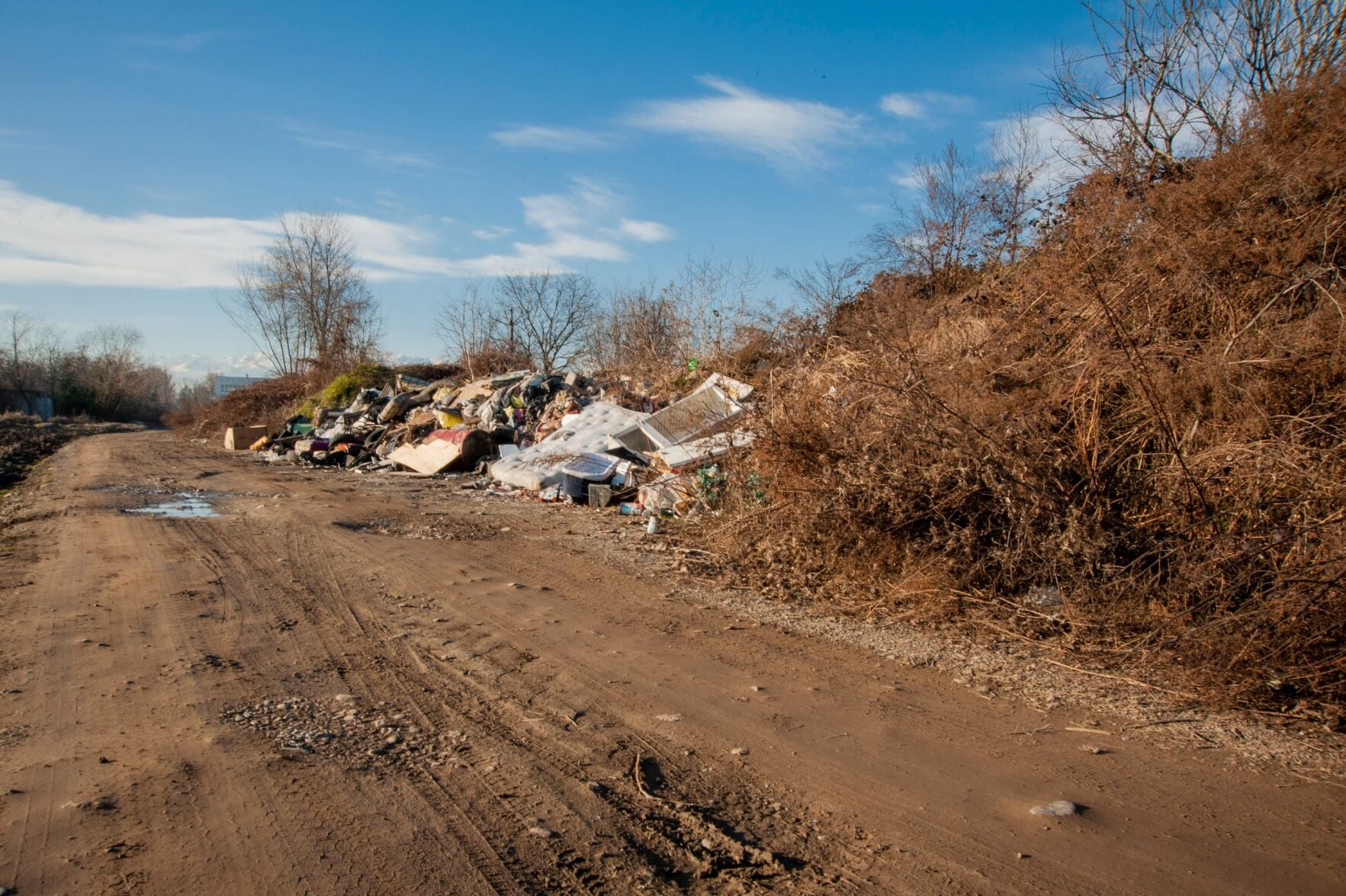 Dumping