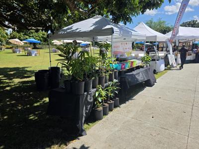 Mango Festival F&S Park