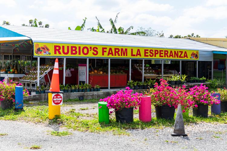 The market of Rubio’s Farm La Esperanza is easy access on Krome Avenue.