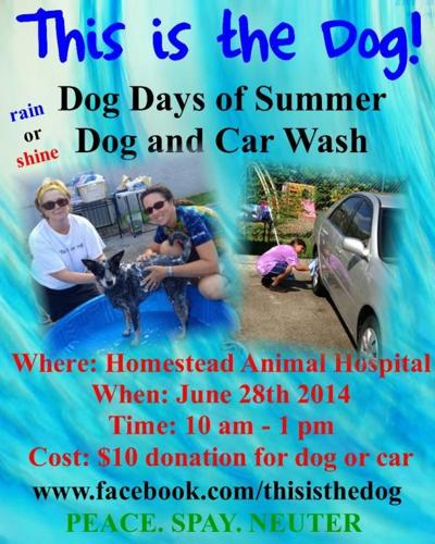 Dog Wash