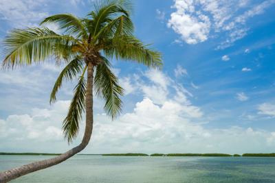 fl keys bay water