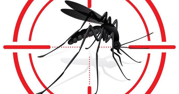Miami-Dade Mosquito Control Division offers tips to prevent mosquito breeding and biting - Vimarsana News