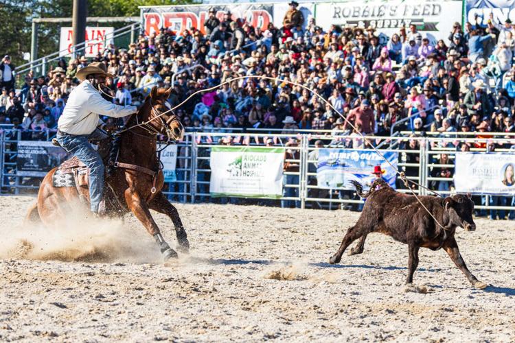 26Rodeo-12.jpg