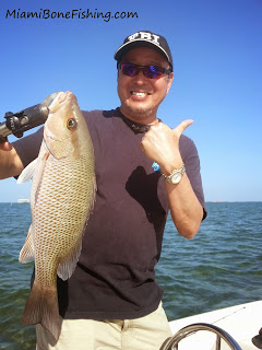 Snapper