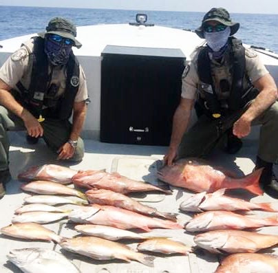 Fwc fishing Clearance