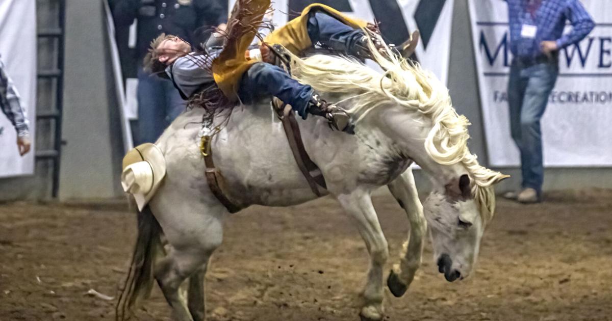 Franlin Rodeo In the Loop: Franklin Rodeo presented by the Franklin Rotary Club at ...