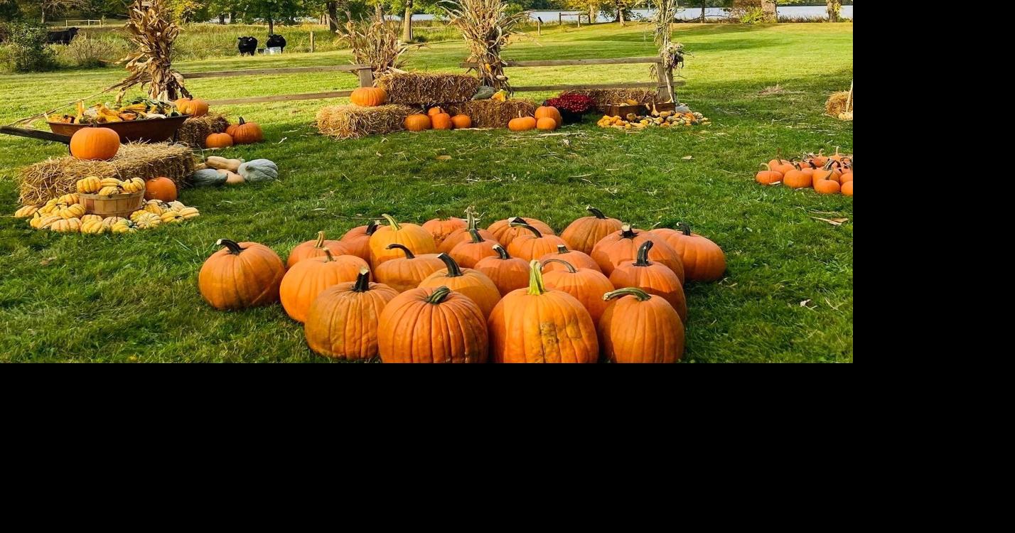 SCENE SEPTEMBER (THE FALL ISSUE) - Fall fun at Southern Minnesota farms ...