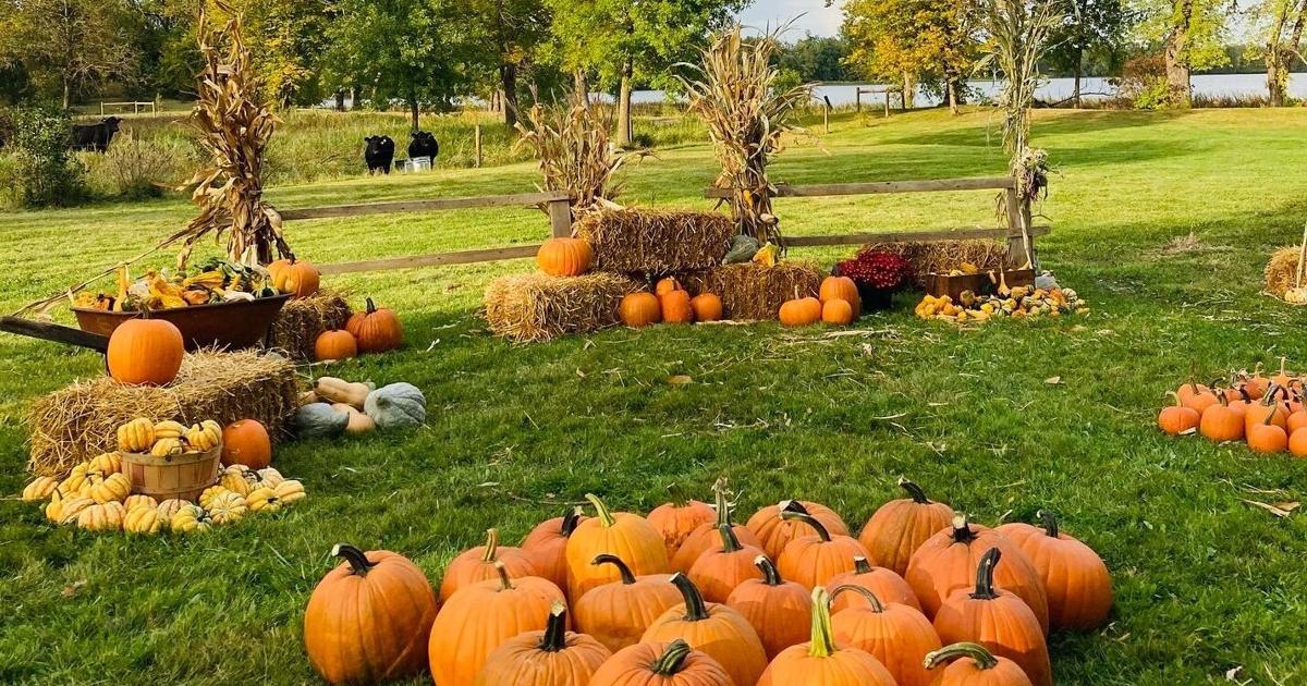 Southern Fall Day SCENE SEPTEMBER (THE FALL ISSUE) - Fall fun at Southern Minnesota farms ...