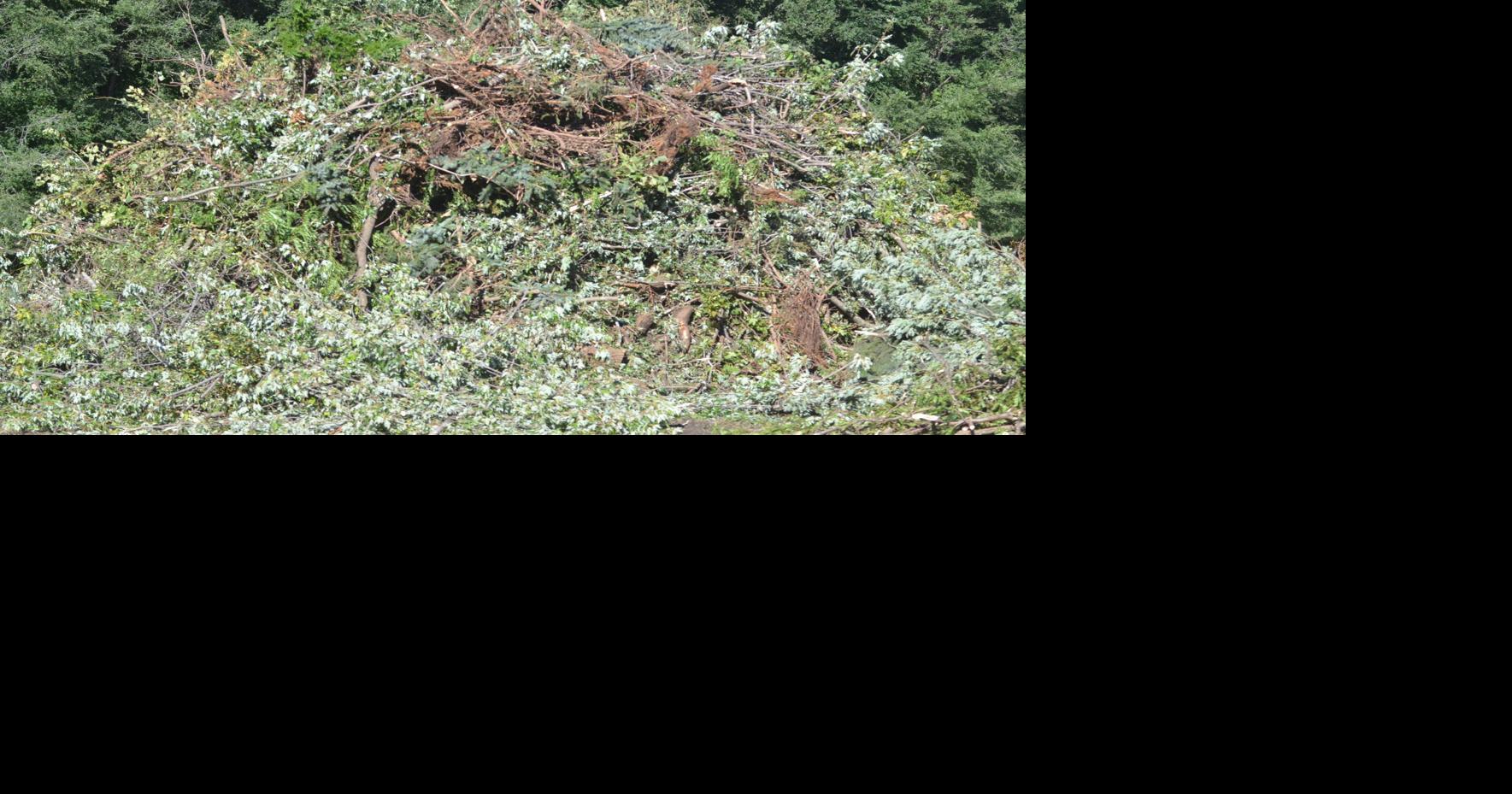 Northfield compost site reopens Thursday Community