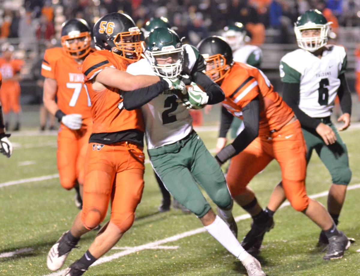 Falcons Dropped By Winona In Section Finals Sports