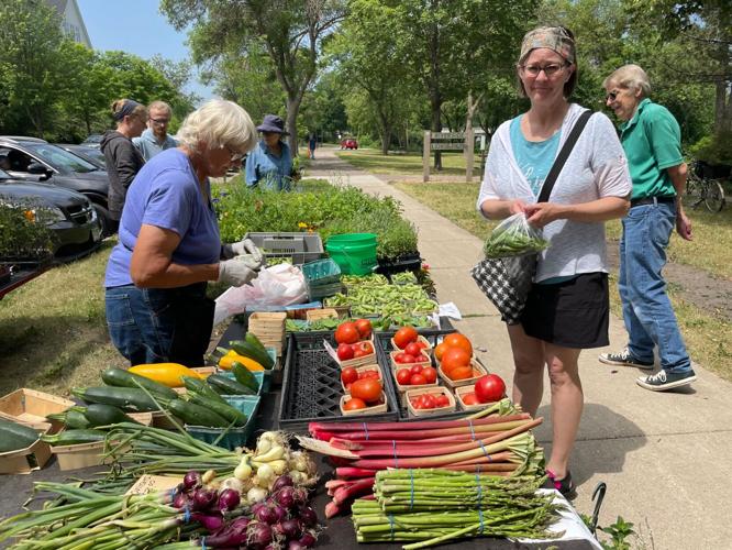 Northfield Farmers Market celebrates halfcentury of selling farm fresh