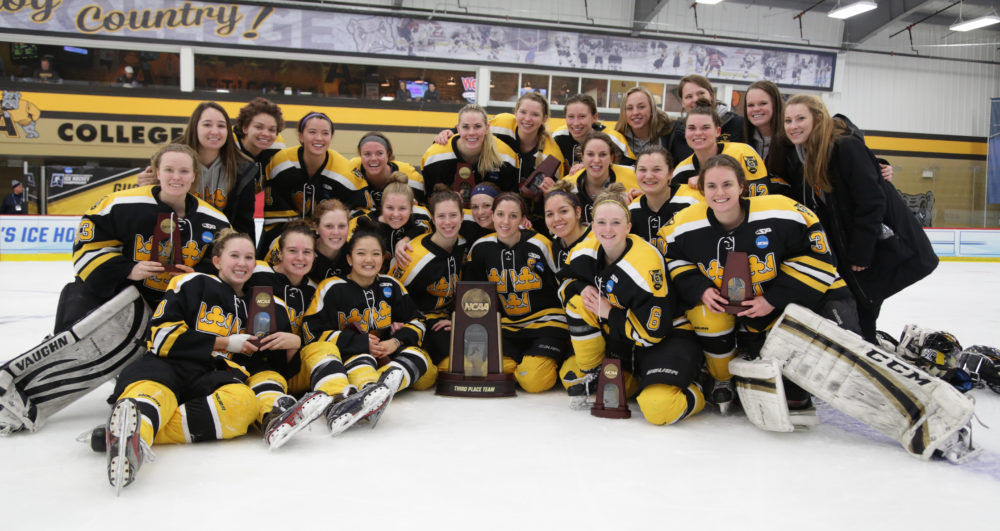 Gustavus claims 3rd at NCAA, defeats Norwich 3-1 | Sports ...