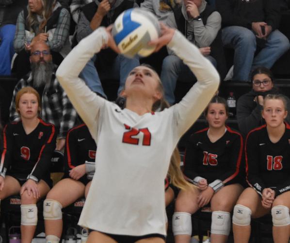 Panthers win on Senior Night against Eagles | Sports | southernminn.com