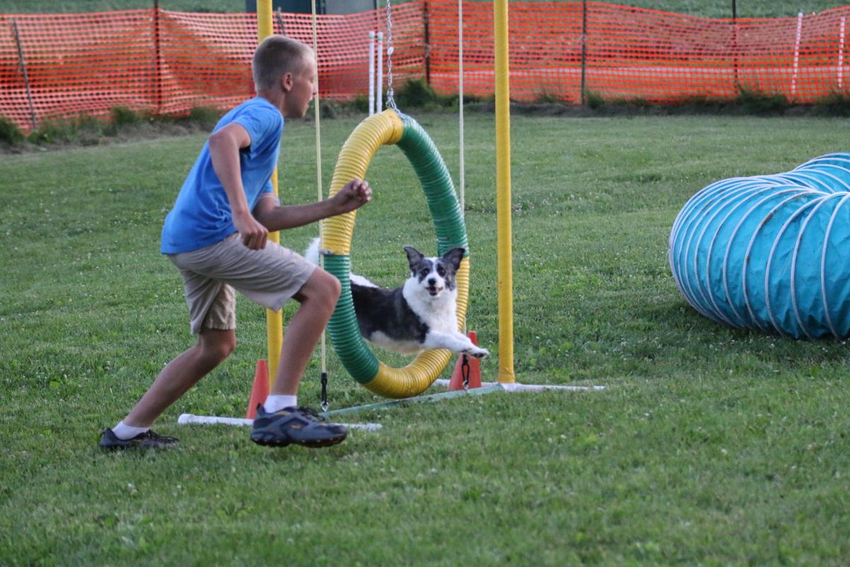 4H dog obedience and agility training brings person and pup closer