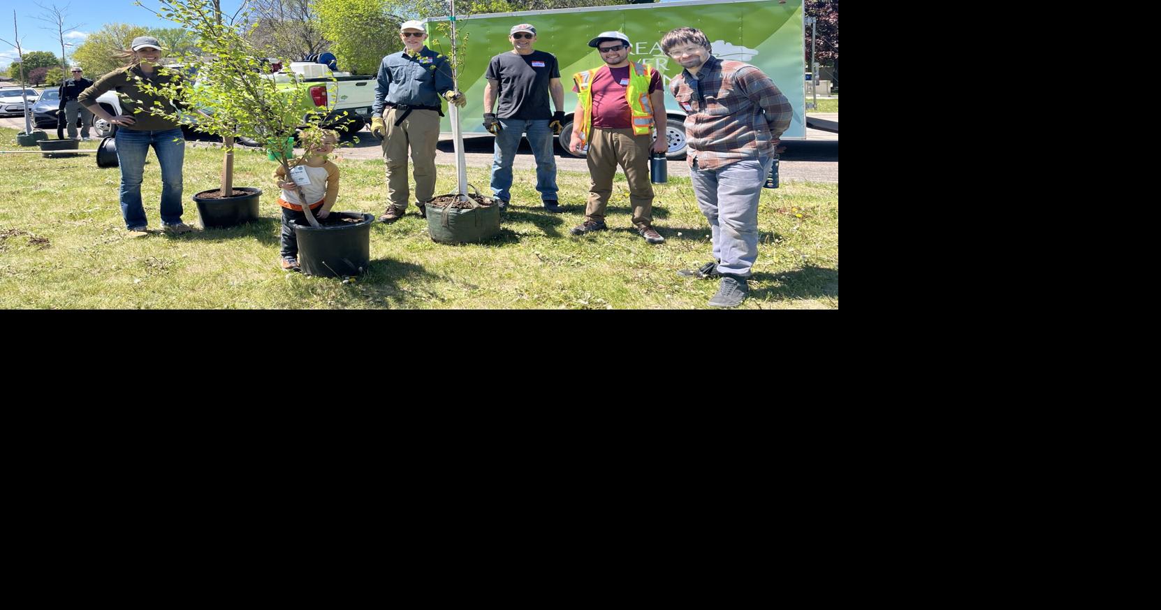 Nonprofit combating rising temperatures one tree at a time