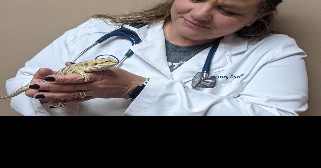 Local veterinarian now treats reptiles News