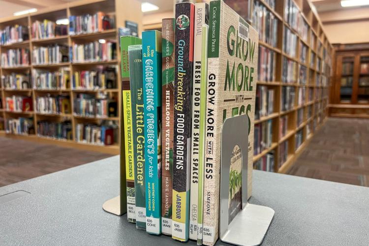 Buckham Seed Library kicks off spring season News