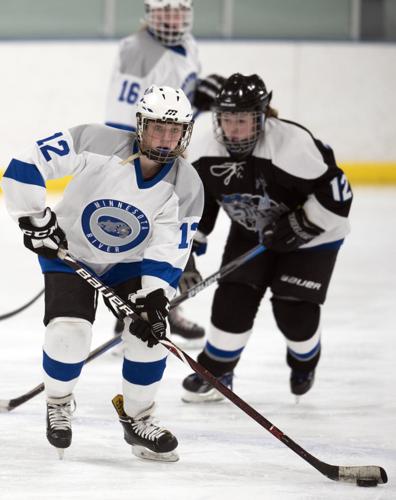 Bulldogs girls win easily over MBA Storm 9 1 Sports southernminn com