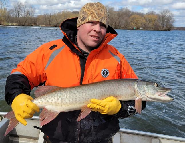 Muskies provide growing fishing opportunities in French Lake Sports