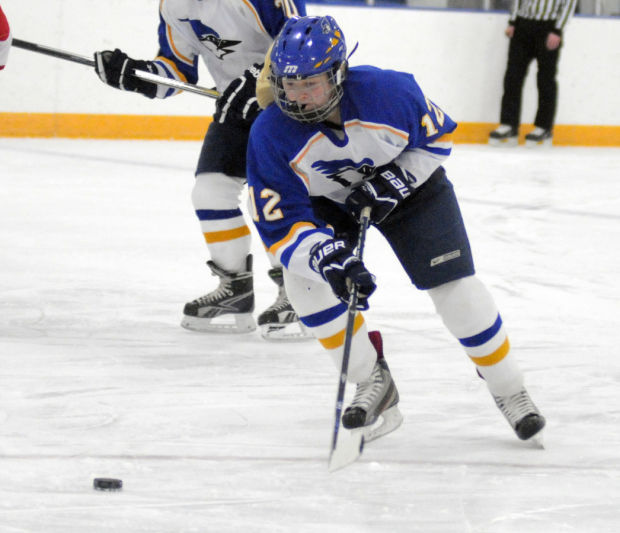 Offense struggles again as Waseca girls hockey drops conference game to ...