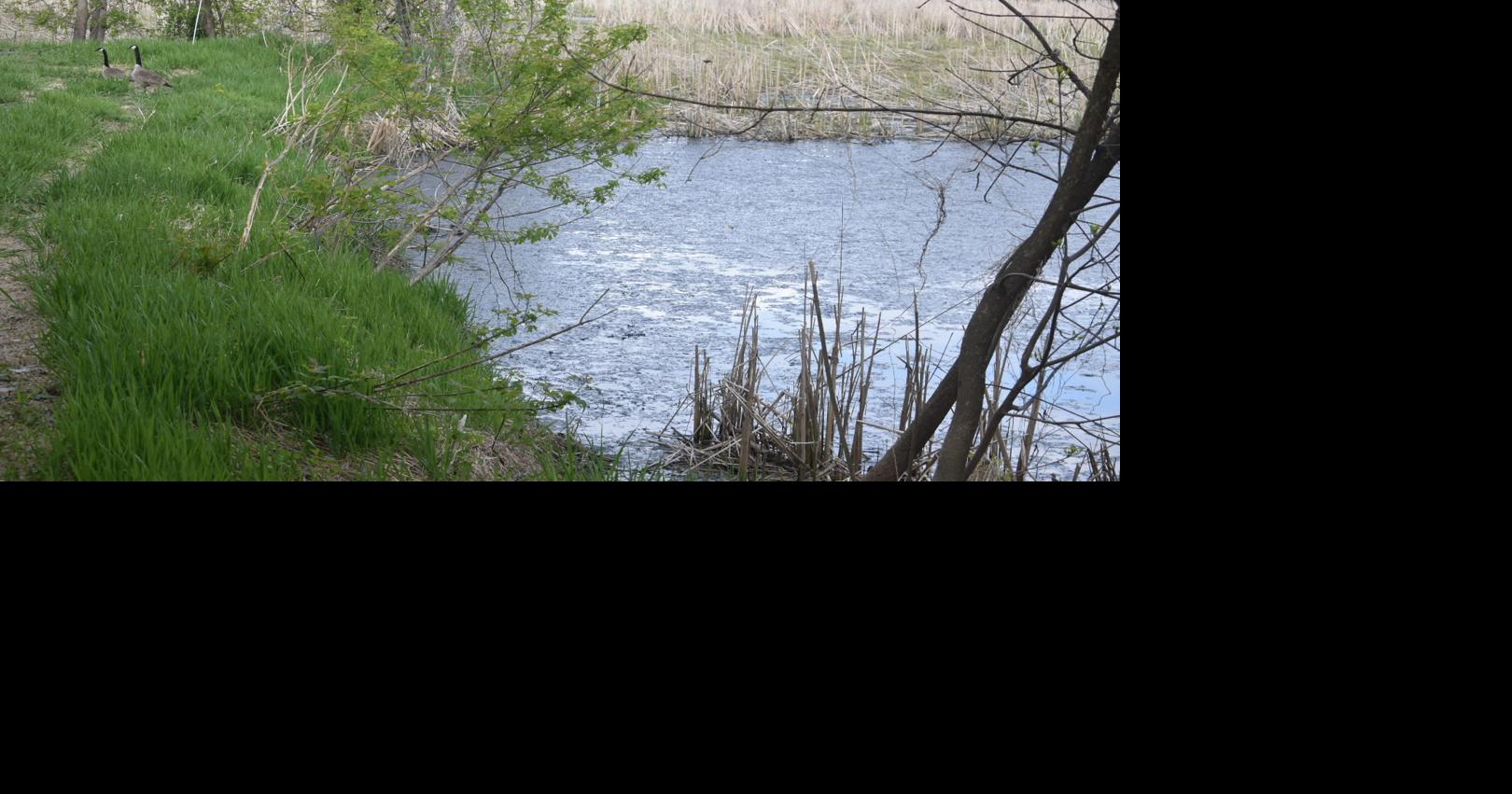 City, County plan to address drainage issues around Gaiter Lake