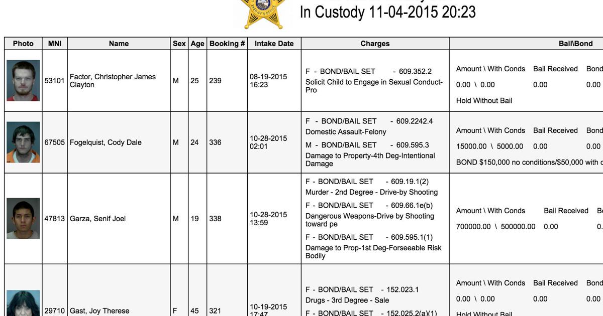 Le Sueur County makes jail roster warrant listings easily accessible on