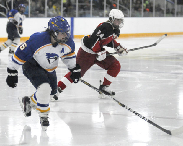 Waseca girls hockey falls 4-0 at home to Austin in season opener ...