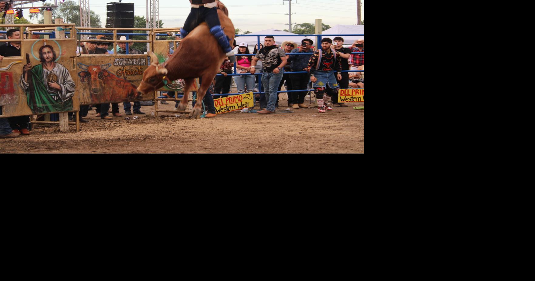 Riding the bull | News