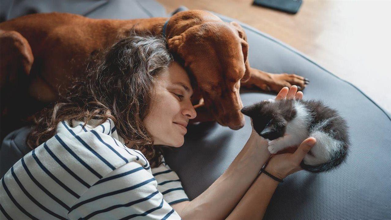 Breeding responsible pet ownership: Choosing the right dog or cat