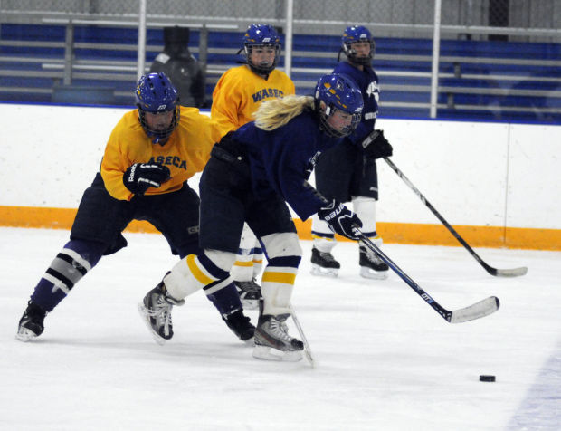 Young Waseca Girls Hockey Team Looking To Jell Early 