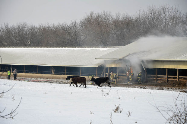 No livestock lost in Medford barn fire | Owatonna Peoples Press ...
