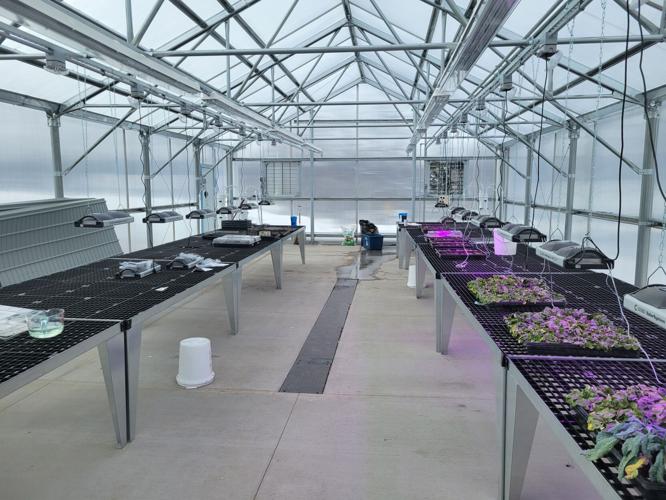Students learn to grow at Cleveland greenhouse News