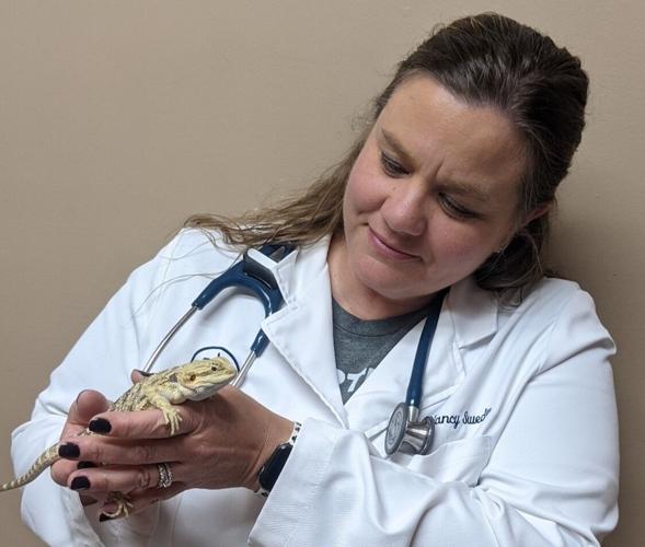 Local veterinarian now treats reptiles News