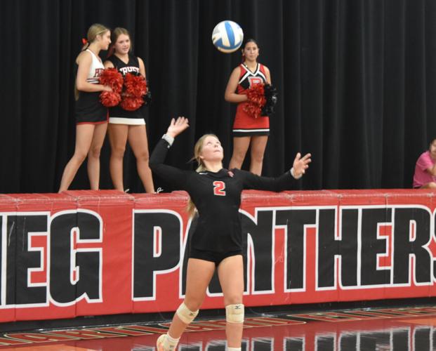 JWP’s Bure named Gopher Conference Player of the Year; 2 Panthers named ...