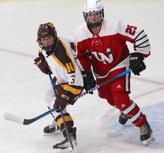 NHS girls hockey just short against Lakeville North | Sports ...