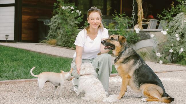 How to Improve Your Dog’s Gut Health