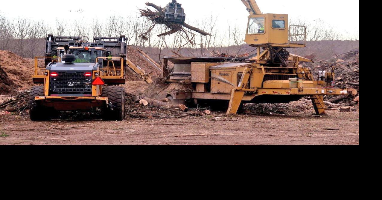 Climate Curious Is burning wood for heat carbon neutral? State