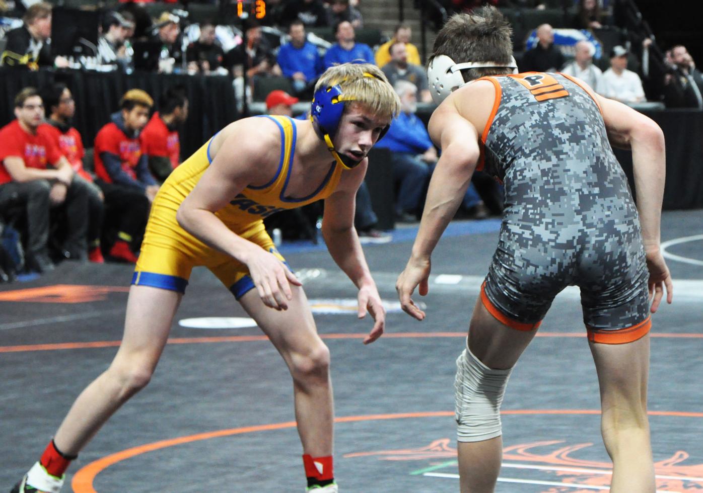 Waseca County Sends Five Wrestlers To State Tourney Sports Southernminn Com