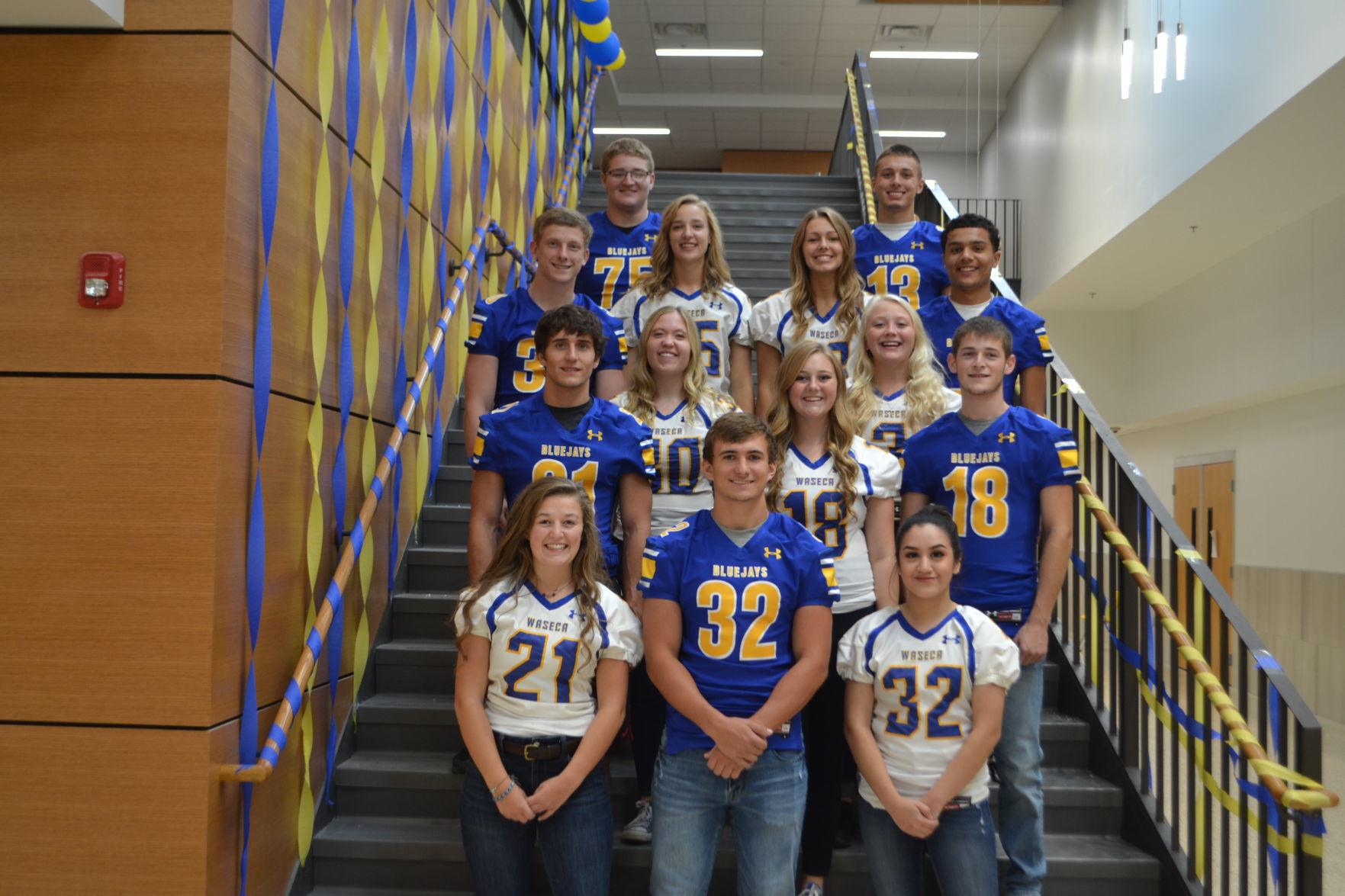 Waseca High School court announced News