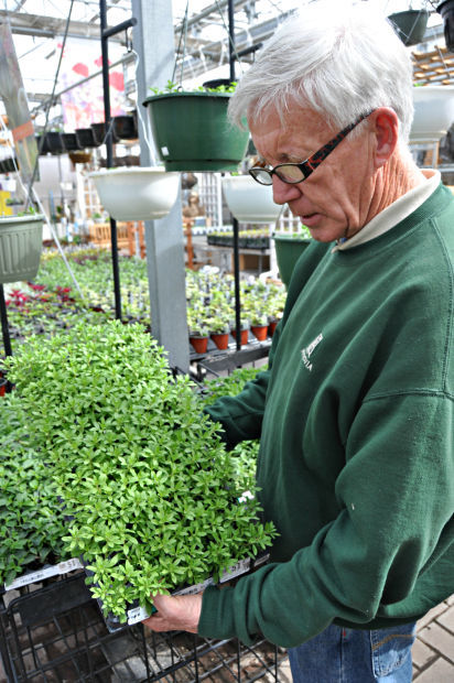 Fred Struck Traverse Des Sioux Garden Center 2 Southernminn Fred Struck Traverse Des Sioux Garden Center 2