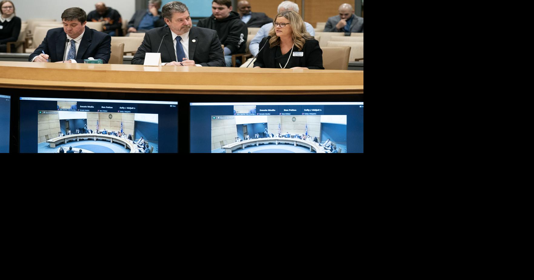 Owatonna, Steele County workforce development bill receives hearing News