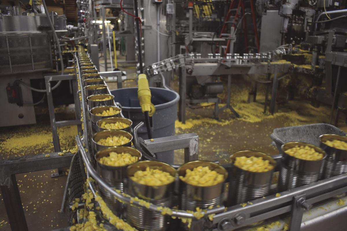 Manufacturing Week New name, same great taste News