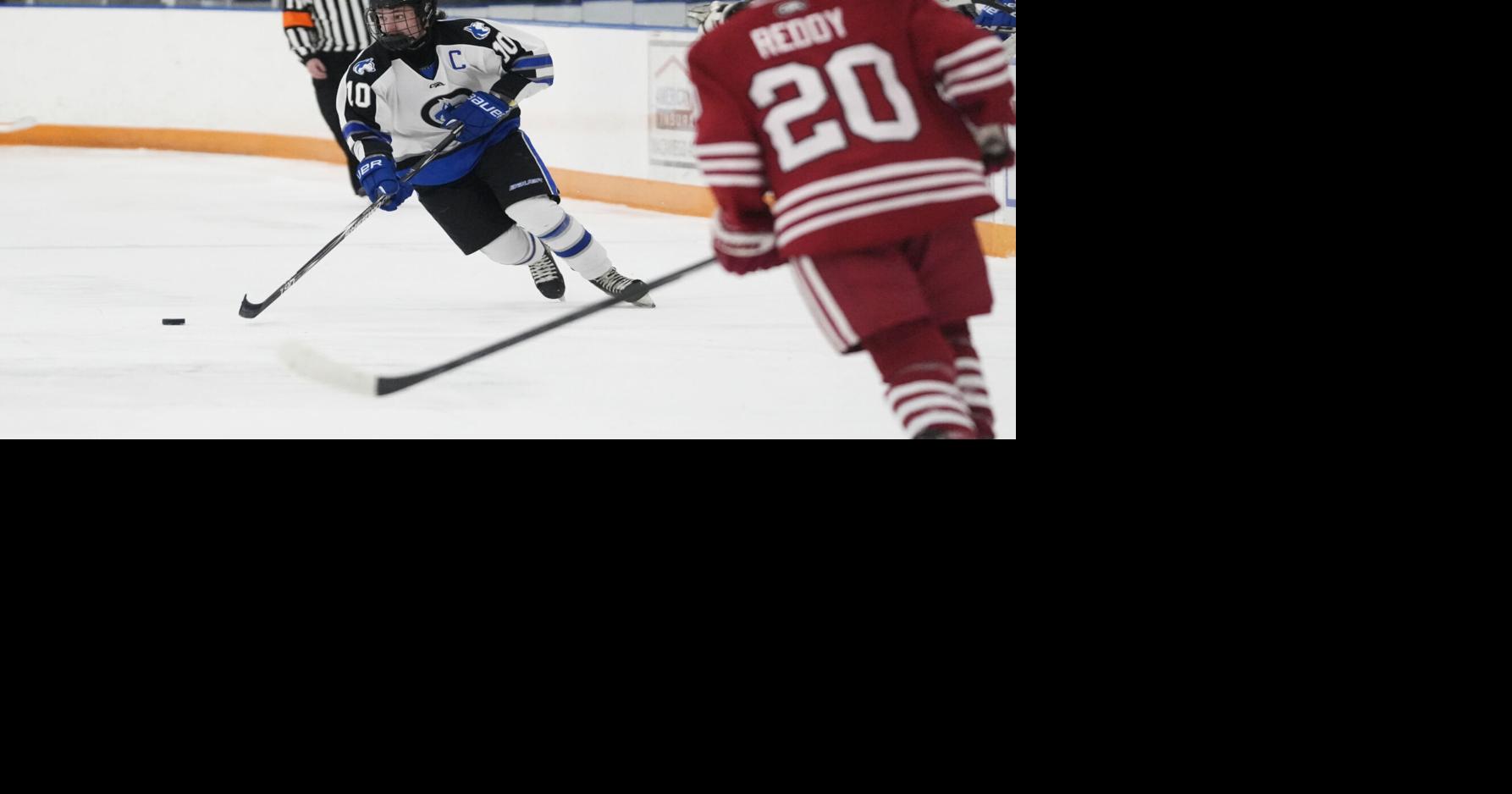 Owatonna hockey teams record pair of victories over Mankato West