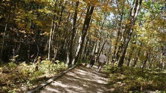 2023 Free Park Days announced for Minnesota state parks, recreation areas